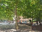 Estate Agents Picture 1