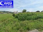 Estate Agents Picture 1