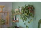 Estate Agents Picture 3