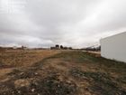 Estate Agents Picture 1