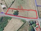 Estate Agents Picture 3