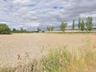 Estate Agents Picture 2