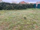 Estate Agents Picture 1