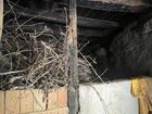 Estate Agents Picture 2